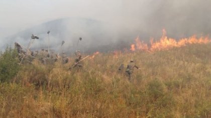 Қарасай ауданында егін алқаптарын өрт шалып, төтеншеліктер дабыл қақты