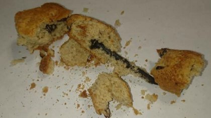 Елордалық тұрғын тоқаш ішінен шеге тауып алды