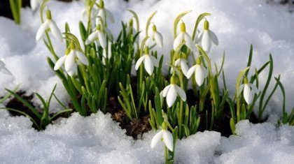 22 наурызға арналған ауа райы болжамы