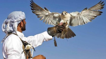 Ел Үкіметі араб шейхтары үшін аң аулау маусымын ашпақ