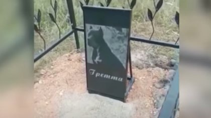 «Итті арулап жерлеген»: Ақмолалық тұрғынның әрекеті елдің наразылығын туғызды