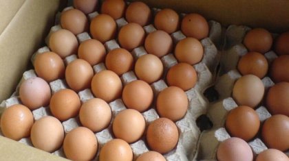Жұмыртқа бағасы 21,5 пайызға қымбаттаған
