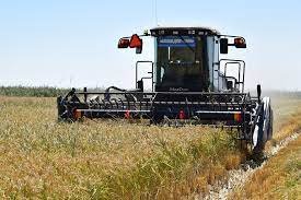 Биыл арпа мен бидай бағасы қанша болмақ?