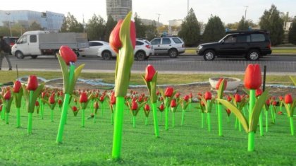 Ақтауда 15 миллион теңгеге пластик гүлдер отырғызылды