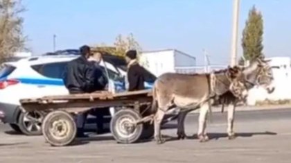Есек арбаны тоқтатқан полицейлер күлкіге қалды