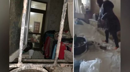Үйіне тұзды тау қылып үйген әйел көршілерін әбден мезі етті (видео)
