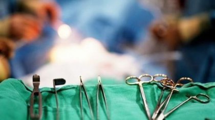 Дәрігерлер шақалақтың басын кесіп алған (ВИДЕО)