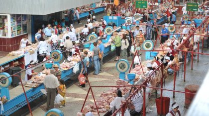 Көк базарда сатушыға кептерлер шабуыл жасады