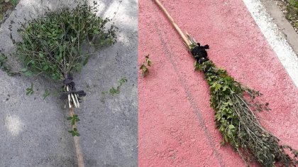 Шымкентте 1,2 млн теңгеге сатып алынған сыпырғыштар қурайдан жасалған болып шықты