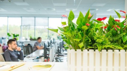 «Жасыл кеңсе» шешім бе?