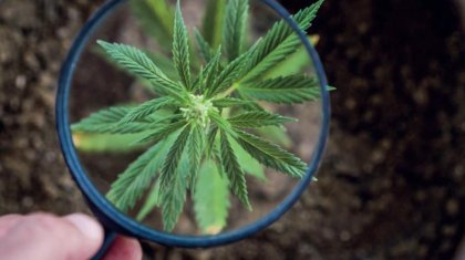 Маңғыстау облысында екі есірткі зертханасы табылды