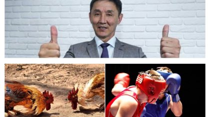 «Қазақ қоғамы боксерді қоразға теңегенін қалаймын» - Ахметбек Нұрсила