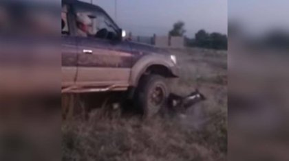 Жылқыны қасақана басқан жүргізуші жазаға тартылмайтын болды