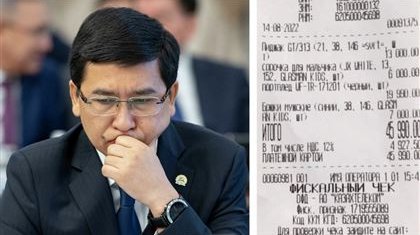 «Министр заңды білмей ме?». Заңгер Аймағамбетовті отставкаға жіберуге болатынын айтып, шүйлікті