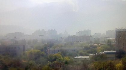 Көкжайлау шатқалы өртеніп жатыр (ВИДЕО)