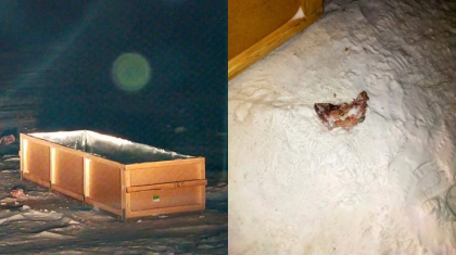 Семейде әуежай маңында жатқан табыт тұрғындарды дүрліктірді