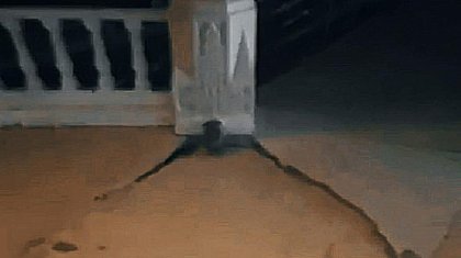 Ақтаудағы атақты амфитеатрдың қабырғасында жарықшақтар пайда болды