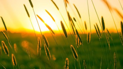 Елімізде 40 градус ыстық болады