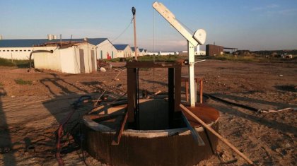 Шошқа фермасындағы жұмысшылар өлімі: полиция алдын ала себебін айтты