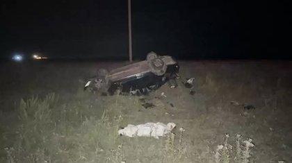 Ақмола облысында жеңіл көлік елікке соғылып, бір адам қаза тапты
