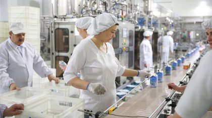 Неміс мамандары қазақ фермерлеріне сүт өндіруді үйретеді