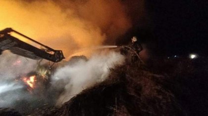 Шығыс Қазақстан облысында балалар 30 тонна шөпті өртеп жіберген