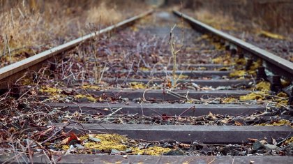 Тоқаев студенттің өліміне қатысты істі өз бақылауына алды