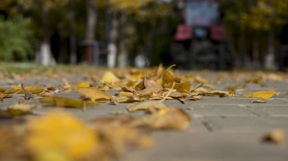 Бүгін ауа райы қандай болады?