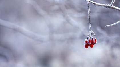 Алдағы үш күнде ауа райы қалай болады