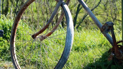 Астанада спорт мектебі 178 млн теңгеге велосипед сатып алмақ болған