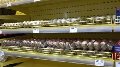 Оралдағы сауда орындары жұмыртқа сатуды шектеді