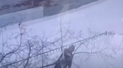 «Мені өлтіруге оқталып жүр»: Желіде күйеуінен қорыққан әйел көмек сұрады
