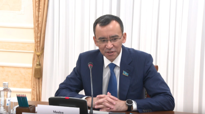 Сенат Төрағасы елшілерді өз тілінде сөйлеуге шақырды (ВИДЕО)