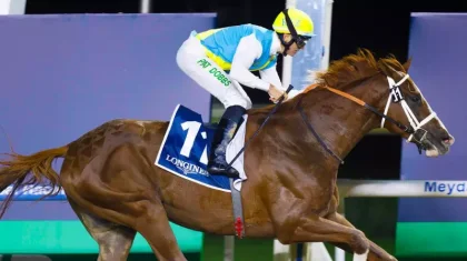 Кабирханның иесі Дубайдағы ат жарыстан бас тартты