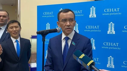 Мәулен Әшімбаев: Ерлерді қорғайтын заңның керегі жоқ
