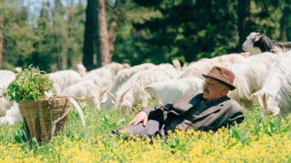 Қытайда шыққан қазақтар жайлы сериал  ең жоғары рейтингке ие болды (ВИДЕО)