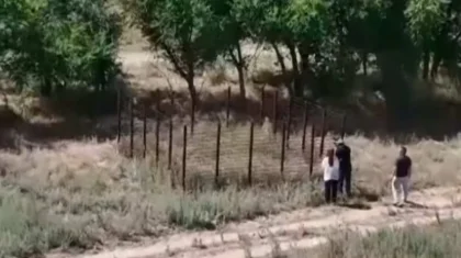 Алматы облысында сібір жарасы көмілген жерге 400-ден астам үй салынған