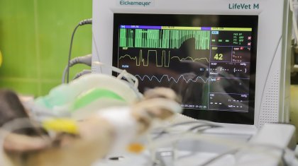 Бір рет өліп-тірілген әйел о дүниеде не көргенін айтты