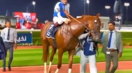 «Кабирханның інісі»: Дубайда өткен жарыста қазақ сәйгүлігі бірінші келді (ВИДЕО)