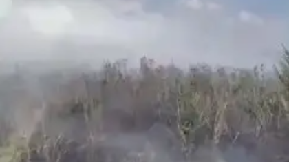 Алматыда әуежай маңынан өрт шықты