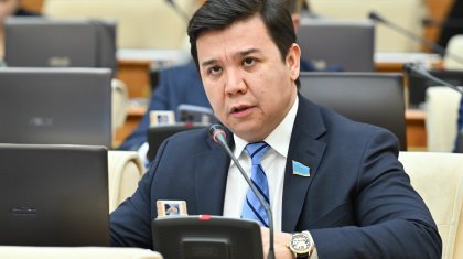 «Тәрбиеге назар аудару керек»: Депутат мемлекеттік туды қорлаған жасөспірімдер туралы айтты