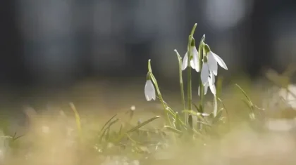 Найзағай, бұршақ, жаңбыр: Ел аумағында құбылмалы күн райы сақталмақ