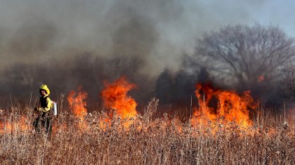 Атырау облысында алапат өрт болып жатыр