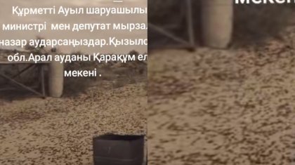 «Шошып кеттік»: Қызылорда облысында шегіртке қаптап, халық министр мен депутаттардан көмек сұрады (ВИДЕО)