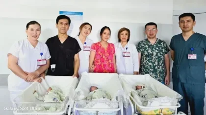 Шымкентте үшінші үшем дүниеге келді