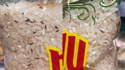 «Жыбырлап жатыр»: Magnum дүкеніндегі күріште тірі құрттар қаптап жүр (ВИДЕО)