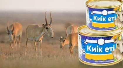 «Киік етін бейберекет алмаңыз»: Министрлік қауіпті аурулардан сақтану үшін қатаң ескерту жасады