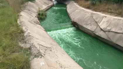 Алматыдағы Қарғалы өзені жасыл түске өзгеріп кетті