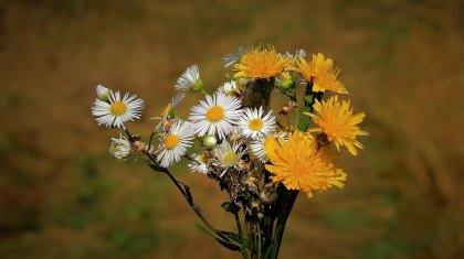 Бүгін бірқатар өңірде ауа райы тұрақсыз болады