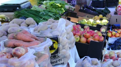 Тоқаев: Азық-түлік нарығының импортқа тәуелділігі – ұят жағдай